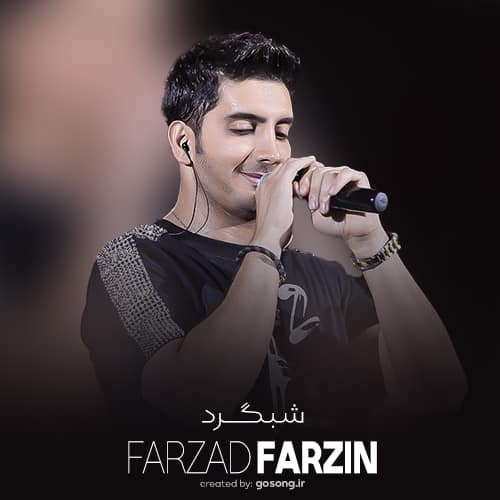 Farzad Farzin Shabgard - دانلود آهنگ فرزاد فرزین دیوونه بازیاتو یادمه