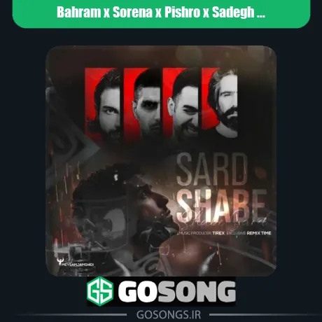 بهرام و سورنا و پیشرو و صادق شب سرد