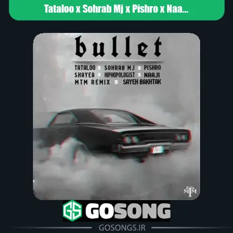تتلو و سهراب ام جی و پیشرو و ناجی و شایع و هیپهاپولوژیست Bullet