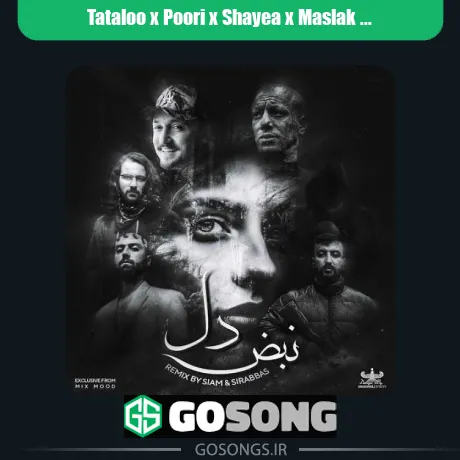 تتلو و پوری و شایع و مسلک و ناجی و هیپهاپولوژیست نبض دل